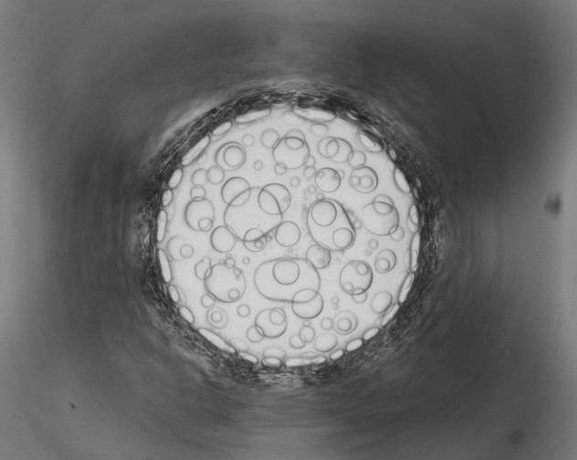 X0000115111302200912081312