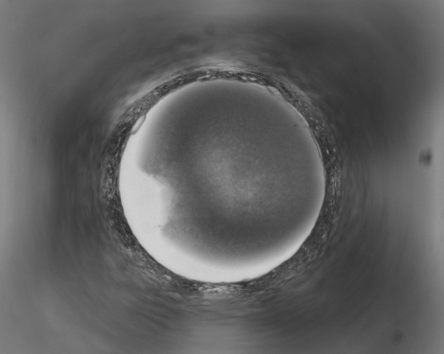 X0000115111303200912081312