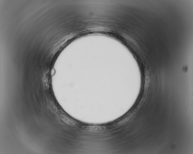 X0000115111305200912081312