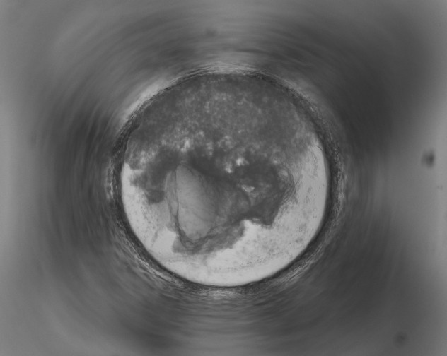 X0000115111306200912081312