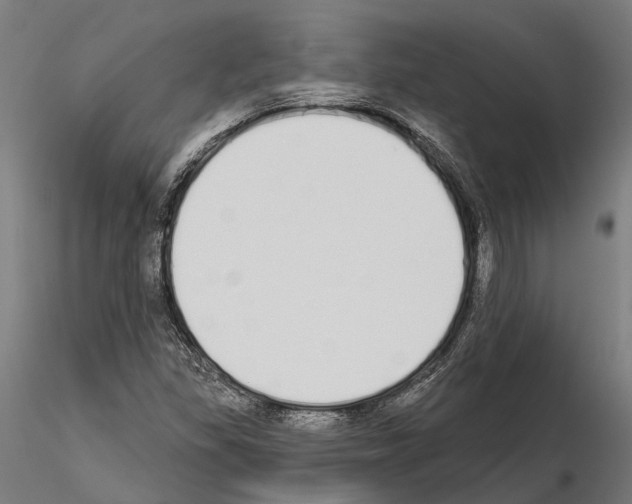 X0000115111309200912081312