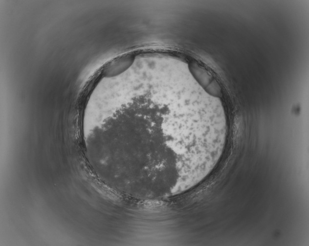 X0000115111310200912081312