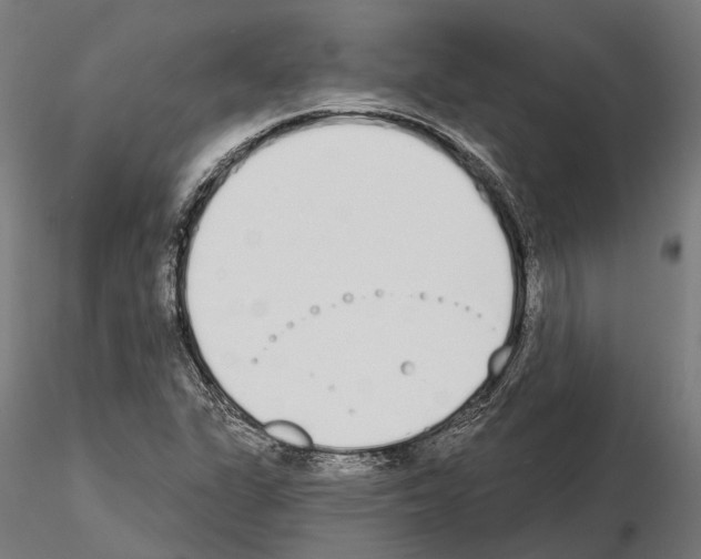 X0000115111311200912081312