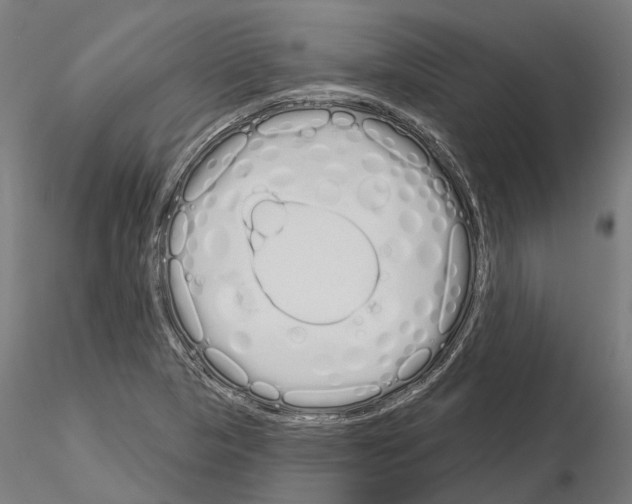 X0000115111313200912081312