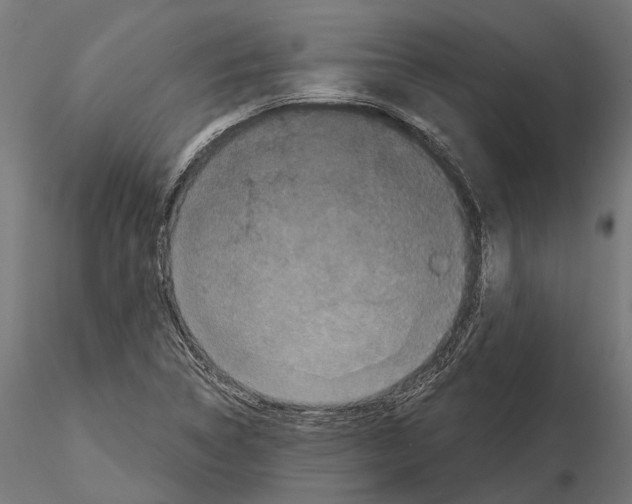 X0000115111314200912081312