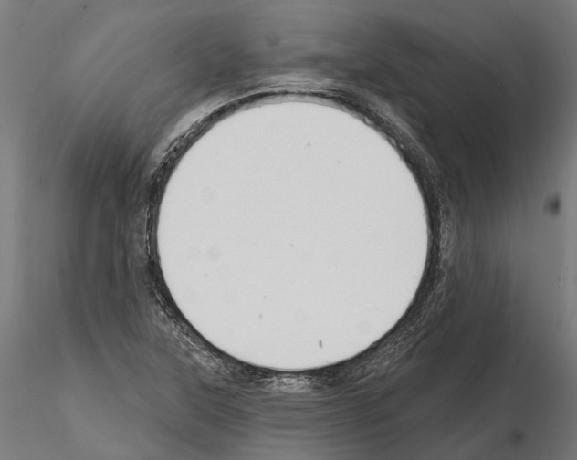 X0000115111315200912081312