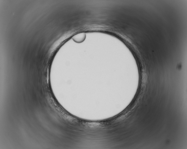 X0000115111317200912081312