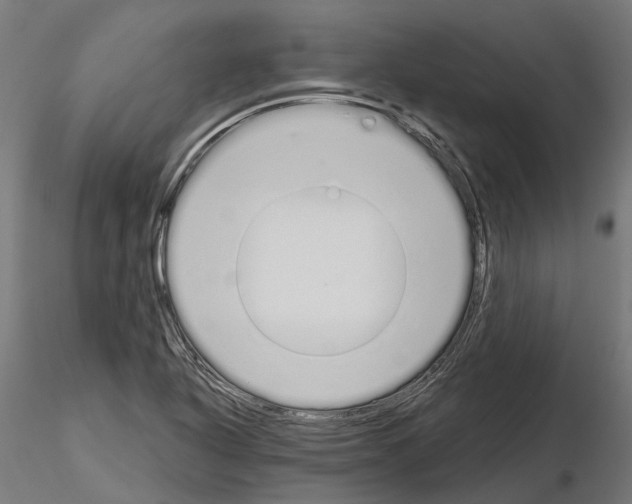 X0000115111318200912081312