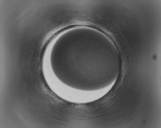 X0000115111319200912081312