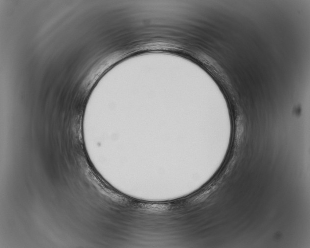 X0000115111321200912081312