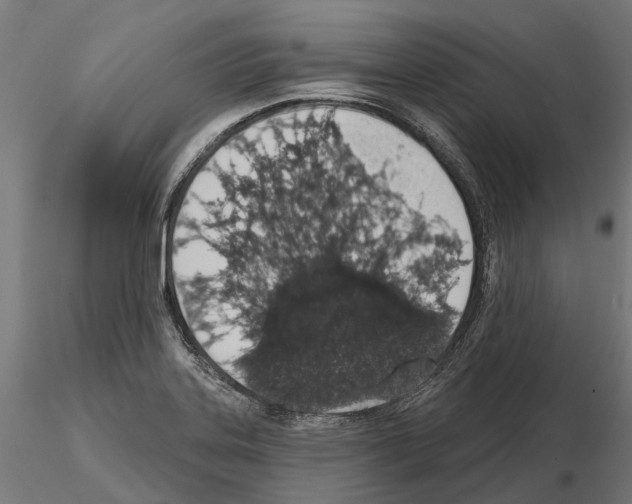 X0000115111323200912081312