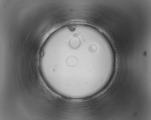 X0000115111325200912081312