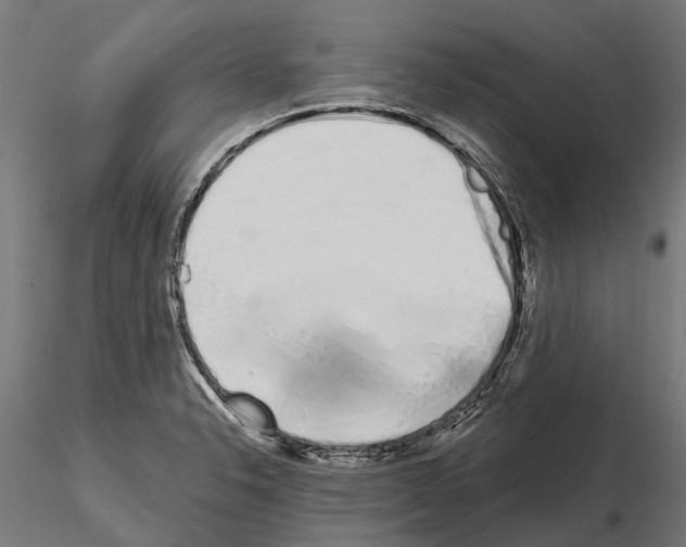 X0000115111326200912081312