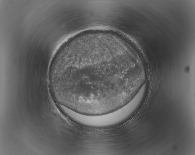 X0000115111327200912081313