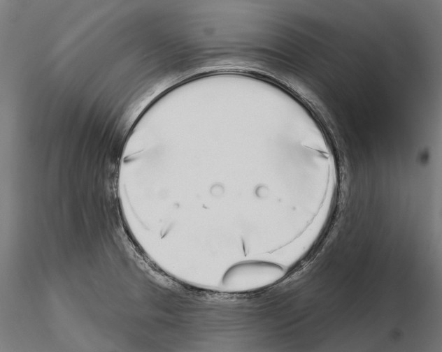 X0000115111329200912081313