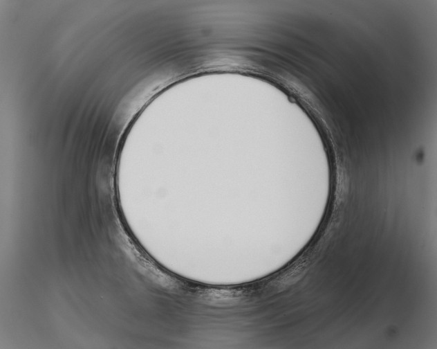 X0000115111330200912081313