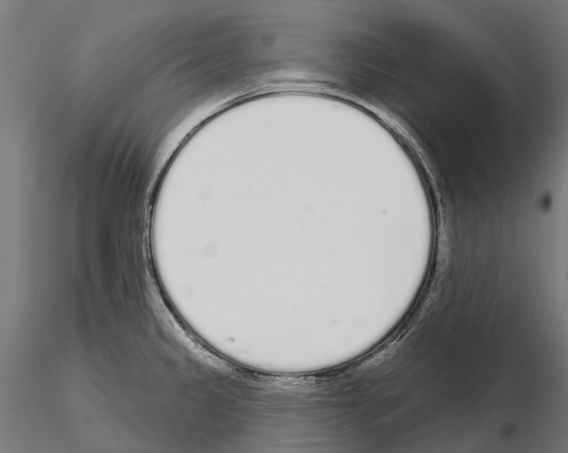 X0000115111333200912081313