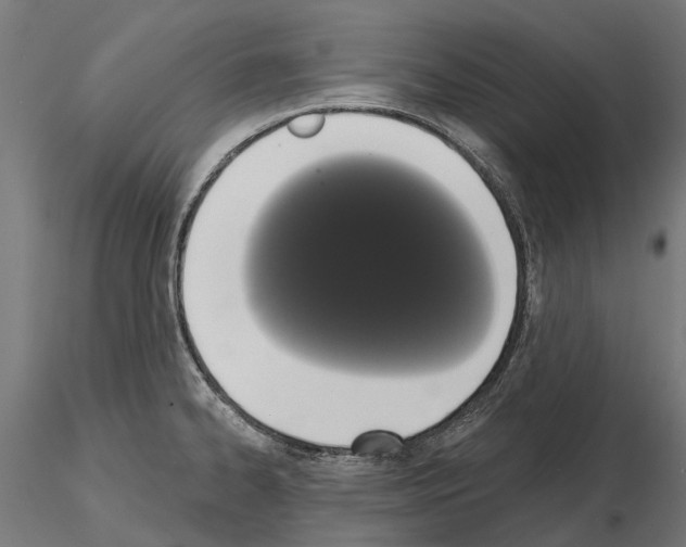 X0000115111334200912081313