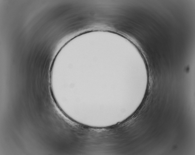 X0000115111335200912081313