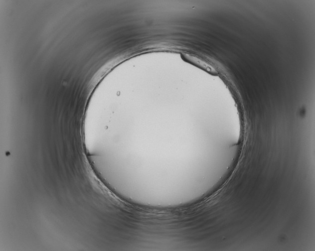 X0000115111338200912081313