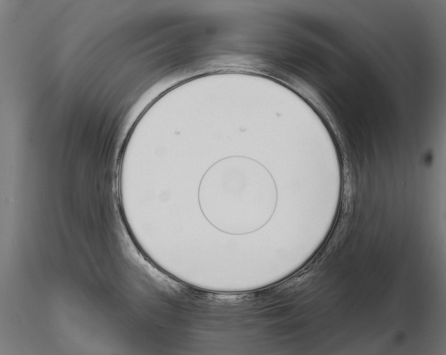 X0000115111339200912081313