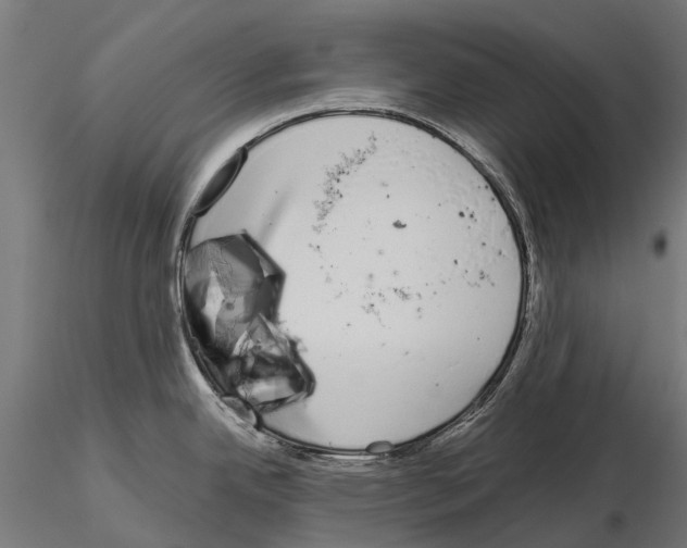 X0000115111342200912081313