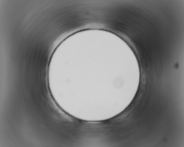 X0000115111343200912081313