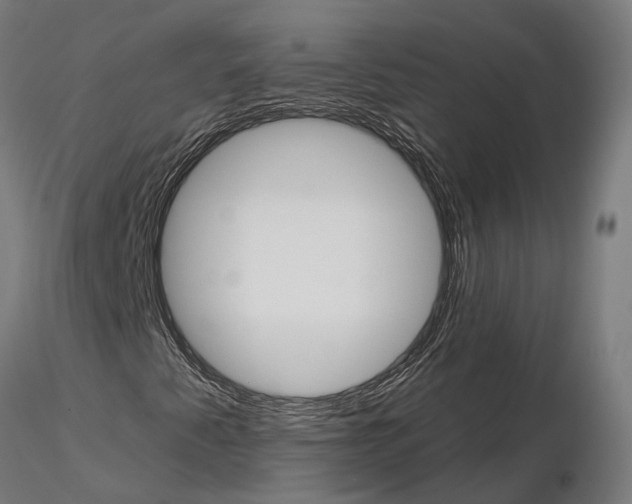 X0000115111345200912081312