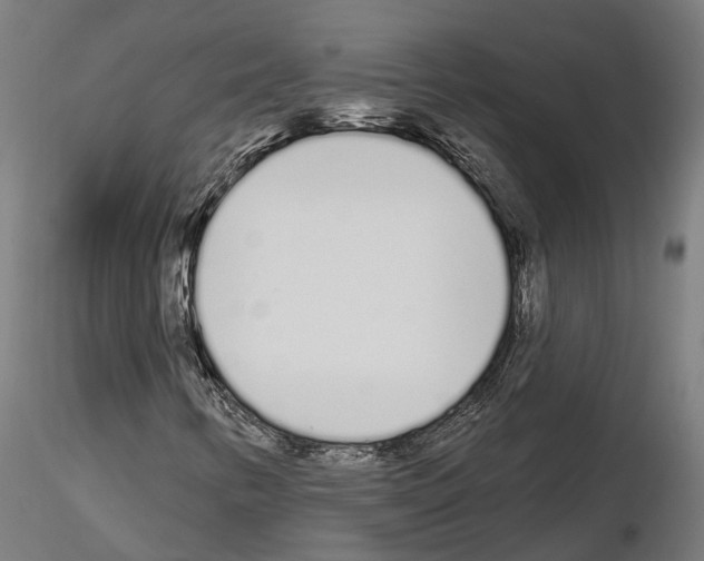 X0000115111346200912081312