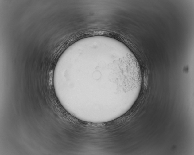 X0000115111347200912081312