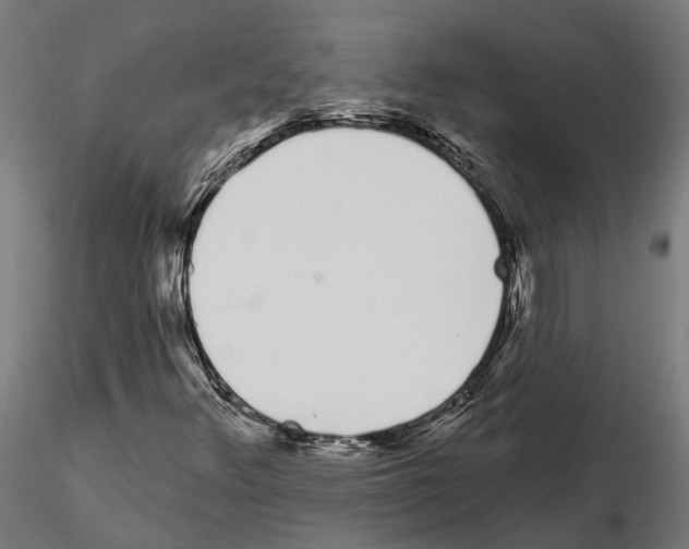 X0000115111348200912081312