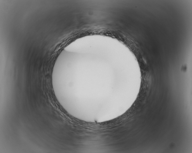 X0000115111349200912081312