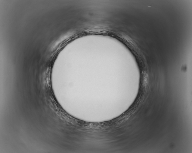 X0000115111350200912081312