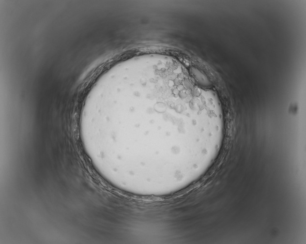 X0000115111351200912081312