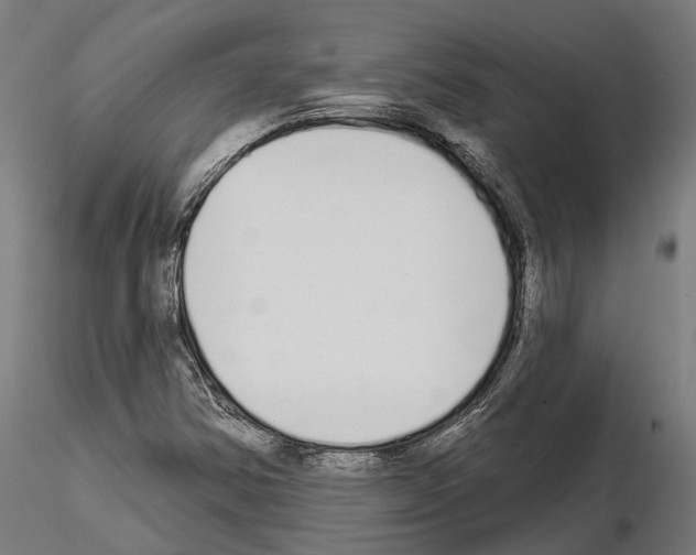 X0000115111354200912081312