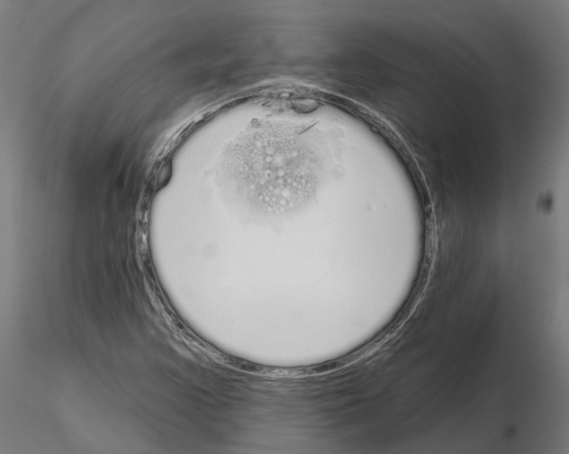 X0000115111355200912081312