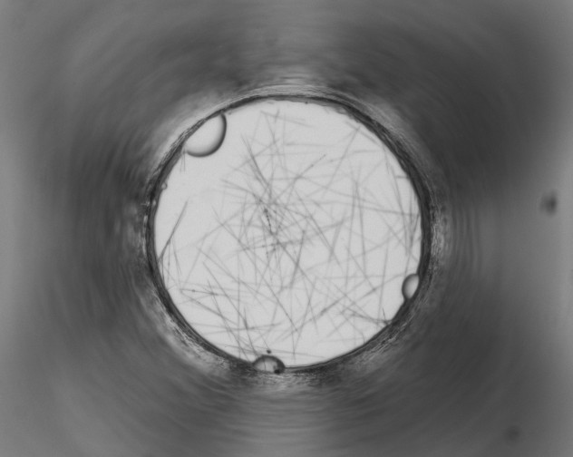 X0000115111356200912081312