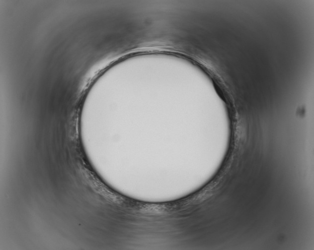 X0000115111358200912081312