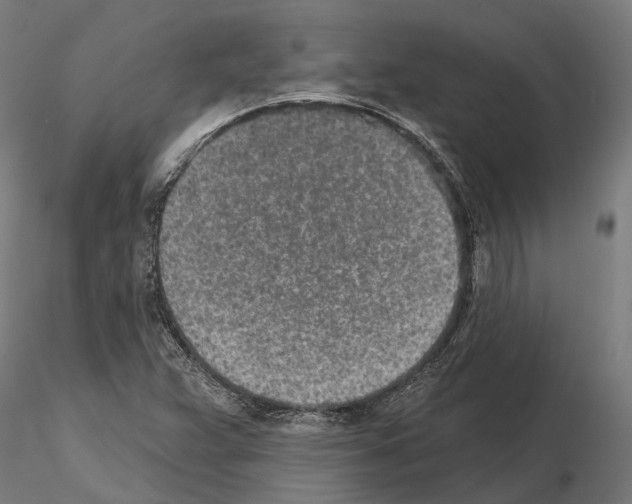 X0000115111359200912081312