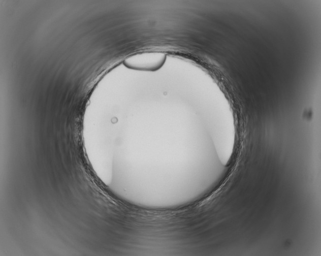 X0000115111361200912081312