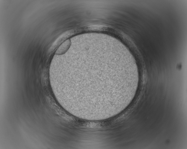 X0000115111362200912081312