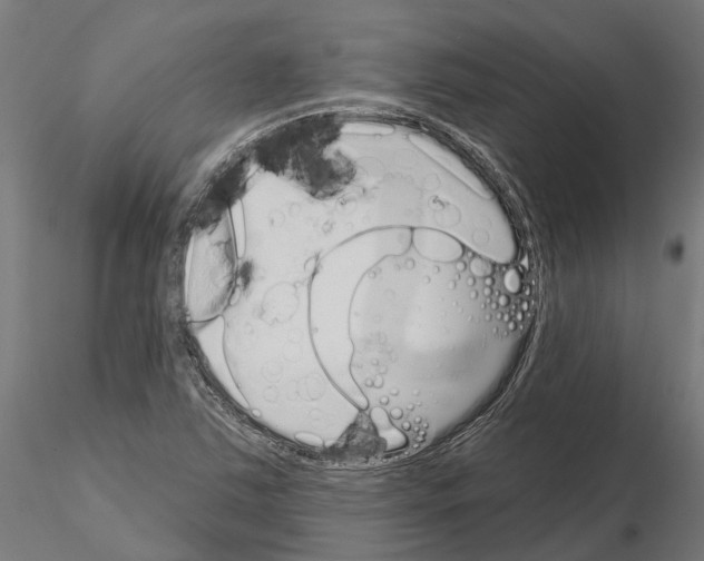 X0000115111363200912081312