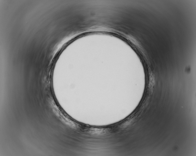 X0000115111364200912081312