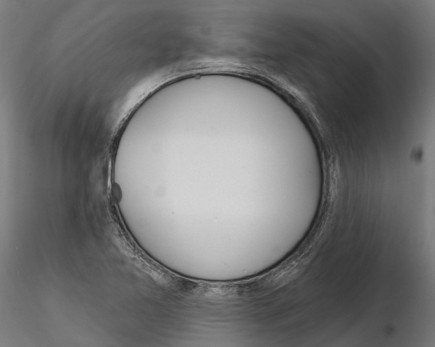 X0000115111365200912081312