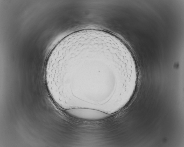 X0000115111367200912081312