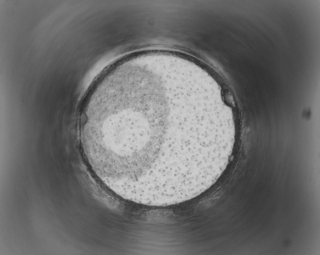 X0000115111368200912081312