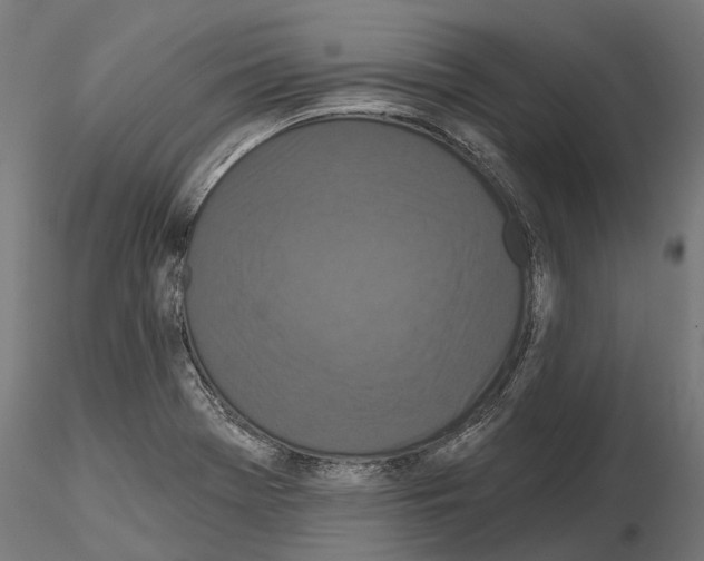 X0000115111369200912081312