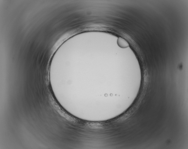 X0000115111370200912081312