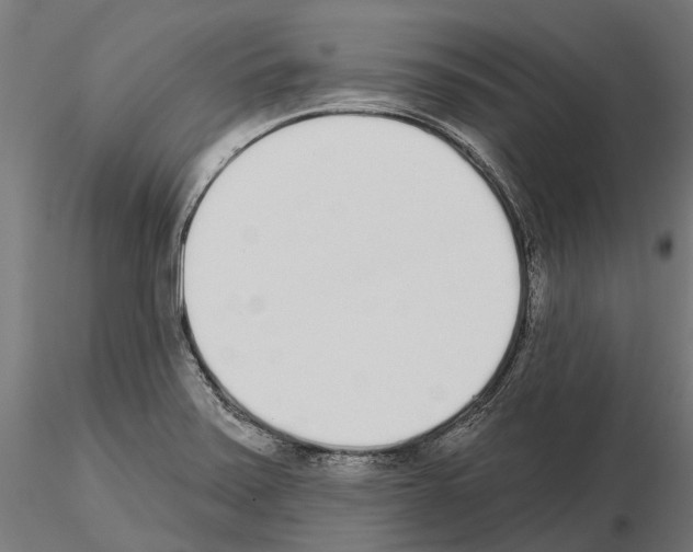 X0000115111371200912081312