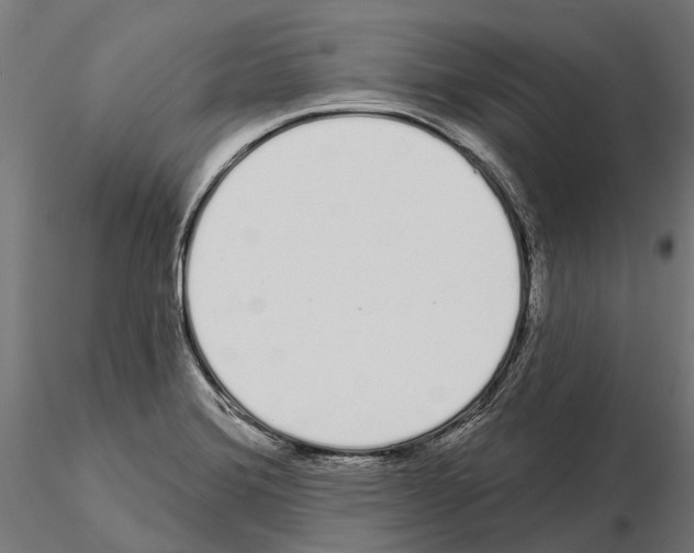 X0000115111372200912081312